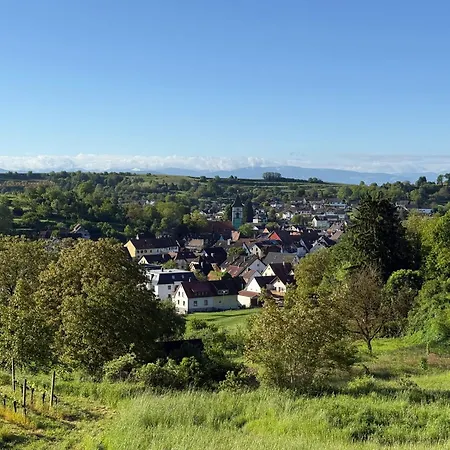 Leonardo Loft - Exklusiv, Wlan, Erdgeschoss, 15 Minuten Vom Europa Park Lejlighed Malterdingen